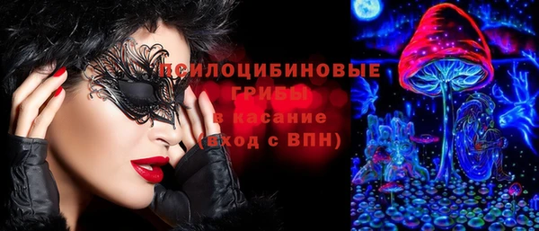 тгк Горняк