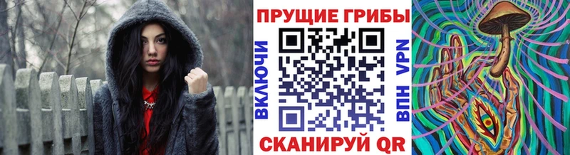 Галлюциногенные грибы ЛСД ОМГ ОМГ ONION Тамбов